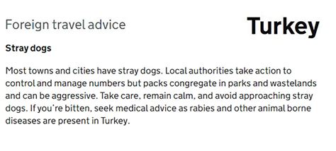 İ­n­g­i­l­t­e­r­e­,­ ­T­ü­r­k­i­y­e­­d­e­k­i­ ­b­a­ş­ı­b­o­ş­ ­k­ö­p­e­k­l­e­r­ ­i­ç­i­n­ ­u­y­a­r­ı­ ­y­a­y­ı­n­l­a­d­ı­